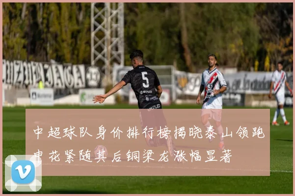 中超球队身价排行榜揭晓泰山领跑申花紧随其后铜梁龙涨幅显著
